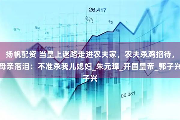 扬帆配资 当皇上迷路走进农夫家，农夫杀鸡招待，母亲落泪：不准杀我儿媳妇_朱元璋_开国皇帝_郭子兴