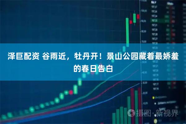 泽巨配资 谷雨近，牡丹开！景山公园藏着最娇羞的春日告白