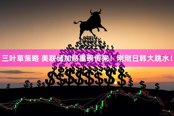 三叶草策略 美联储加息重磅传来！刚刚日韩大跳水！