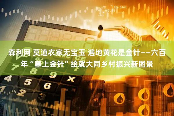 森利网 莫道农家无宝玉 遍地黄花是金针——六百年“塞上金针”绘就大同乡村振兴新图景