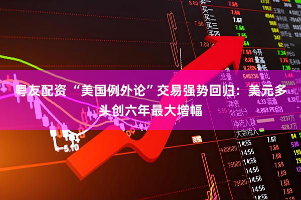 粤友配资 “美国例外论”交易强势回归：美元多头创六年最大增幅