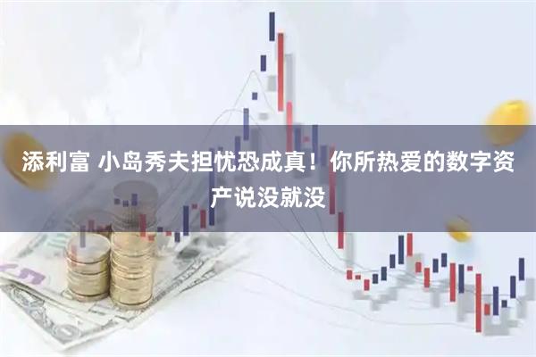 添利富 小岛秀夫担忧恐成真！你所热爱的数字资产说没就没